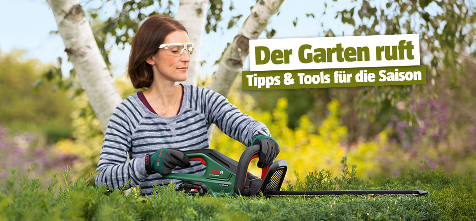 Bühne zu Garten frühlingsfertig machen; Frau schneidet Hecke mit elekttrischer Heckenschere im Garten