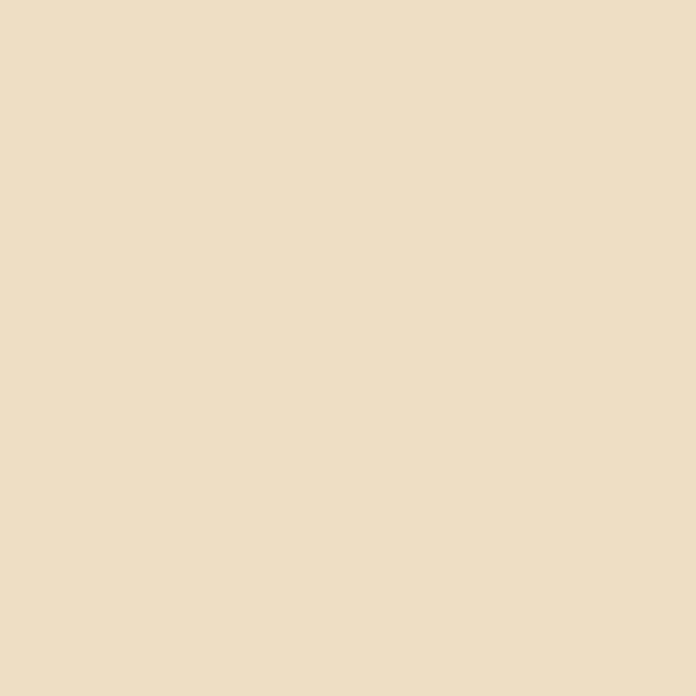 SCHÖNER WOHNEN-Farbe MyColour Wandfarbe - My Ivory, Matt, 10 l - Elegante, einfarbige Fläche in einem sanften Beigeton. Ideal für Hintergründe oder als dezenter Farbakzent.