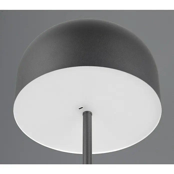 Reality Leuchten LED-Stehleuchte Jeff - 2 W, Höhe: 147 cm, Schwarz, Warmweiß - Nahaufnahme einer modernen Stehleuchte mit grauem Schirm und weißem Diffusor, die ein sanftes, nach unten gerichtetes Licht erzeugt.