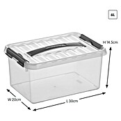 Sunware Aufbewahrungsbox (L x B x H: 30,7 x 20 x 14,3 cm, Kunststoff, Transparent, Farbe Griff: Schwarz)