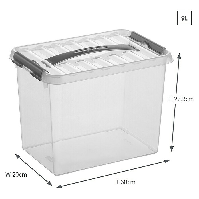 Sunware Aufbewahrungsbox (L x B x H: 30,7 x 20 x 22,3 cm, Kunststoff, Transparent, Farbe Griff: Schwarz)