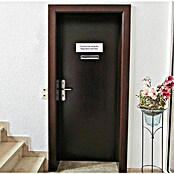 Rottner Prehodni poštni nabiralnik Como  (Do x Š x V: 320 x 250 x 85 mm, Srebrna, Nerjavno jeklo) | 1347 - Briefkästen/Zeitungsboxen Metall | AAHE - Briefkästen/Zeitungsboxen | AAH - Sicherheit | AA - Eisenwaren | A - Eisenwaren | BAUHAUS