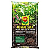 Compo Zemlja za zelene biljke i palme  (10 l) | BAUHAUS
