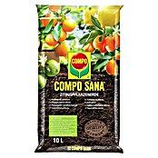 Compo Zemlja za citrusne biljke  (10 l) | BAUHAUS