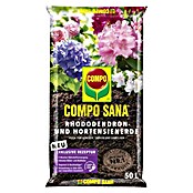 Compo Zemlja za rododendrone  (50 l) | 7503 - Spezialerde Marke | IAHA - Erde | IAH - Dünger / Pflanzenschutz | IA - Gartenhartware | I - Stadtgarten | BAUHAUS