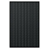 EcoFlow Solarni panel  (175 W, Maksimalan postotak efikasnosti: 25 %) | BAUHAUS
