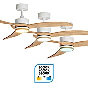 Arte confort Ventilador de techo Echo (Blanco/Madera, 122 cm, 28,2 W, Blanco cálido) | BAUHAUS
