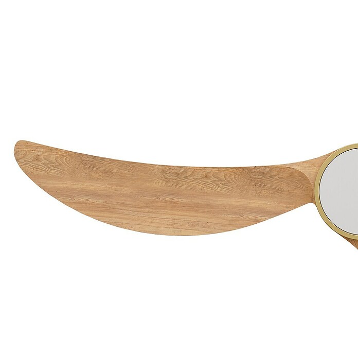 Arte confort Ventilador de techo Echo (Blanco/Madera, 122 cm, 28,2 W, Blanco cálido) | BAUHAUS