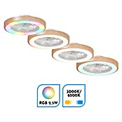 Arte confort Ventilador de techo Siena (Blanco/Madera, 48,9 cm, 36 W, RGB) | BAUHAUS