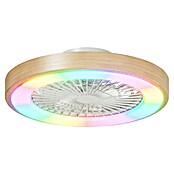Arte confort Ventilador de techo Siena (Blanco/Madera, 48,9 cm, 36 W, RGB) | BAUHAUS
