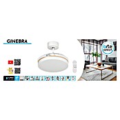 Arte confort Ventilador de techo Ginebra (Blanco, 91 cm, 28 W, Blanco cálido) | BAUHAUS
