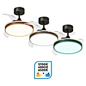 Arte confort Ventilador de techo Ginebra (Negro, 31 cm, 28 W, Blanco cálido) | BAUHAUS