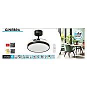 Arte confort Ventilador de techo Ginebra (Negro, 31 cm, 28 W, Blanco cálido) | BAUHAUS