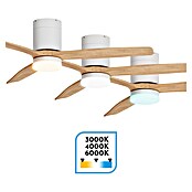 Arte confort Ventilador de techo Mallorca (Blanco/Madera, 132 cm, 36,5 W, Blanco cálido) | BAUHAUS