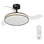 Arte confort Ventilador de techo Tunez (Negro, 105,5 cm, 30 W, Blanco cálido) | BAUHAUS