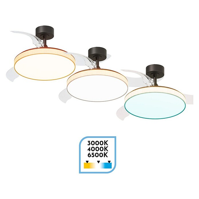 Arte confort Ventilador de techo Tunez (Negro, 105,5 cm, 30 W, Blanco cálido) | BAUHAUS
