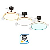 Arte confort Ventilador de techo Tunez (Negro, 105,5 cm, 30 W, Blanco cálido) | BAUHAUS