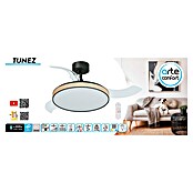 Arte confort Ventilador de techo Tunez (Negro, 105,5 cm, 30 W, Blanco cálido) | BAUHAUS