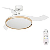 Arte confort Ventilador de techo Varadero (Blanco/Madera, 112 cm, 50 W, Blanco cálido) | BAUHAUS