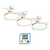 Arte confort Ventilador de techo Varadero (Blanco/Madera, 112 cm, 50 W, Blanco cálido) | BAUHAUS
