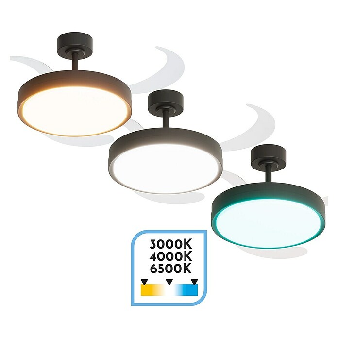Arte confort Ventilador de techo Verona L (Negro, 122 cm, 30 W, Blanco cálido) | BAUHAUS