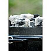 Petromax Briketi za žar Cabix Plus za litoželezne lonce  (3 kg) | 8316 - Holzkohle | ICGB - Grillzubehör | ICG - Grillgeräte / Grillzubehör | IC - Freizeit im Garten | I - Stadtgarten | BAUHAUS