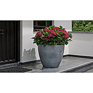 Keter Maceta para planta Betón (Dimensiones externas (Ø x Al): 53 x 50 cm, Material compuesto, Gris)