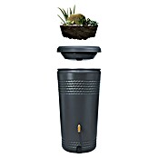 4rain Regenspeicher Milo (230 l, Graphitgrau, 1 Stk.) | BAUHAUS
