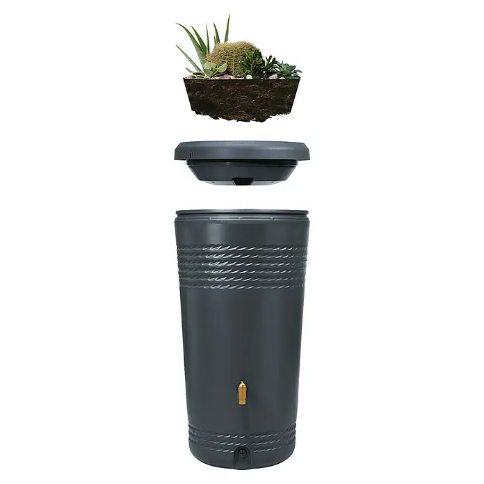 4rain Regenspeicher Milo - 230 l, Graphitgrau, 1 Stk. - Regenwassertonne in Anthrazit mit dekorativer Bepflanzung. Praktisch und stilvoll für den Garten, um Regenwasser zu sammeln und Pflanzen zu bewässern.