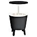 Keter Nevera Cool Bar 