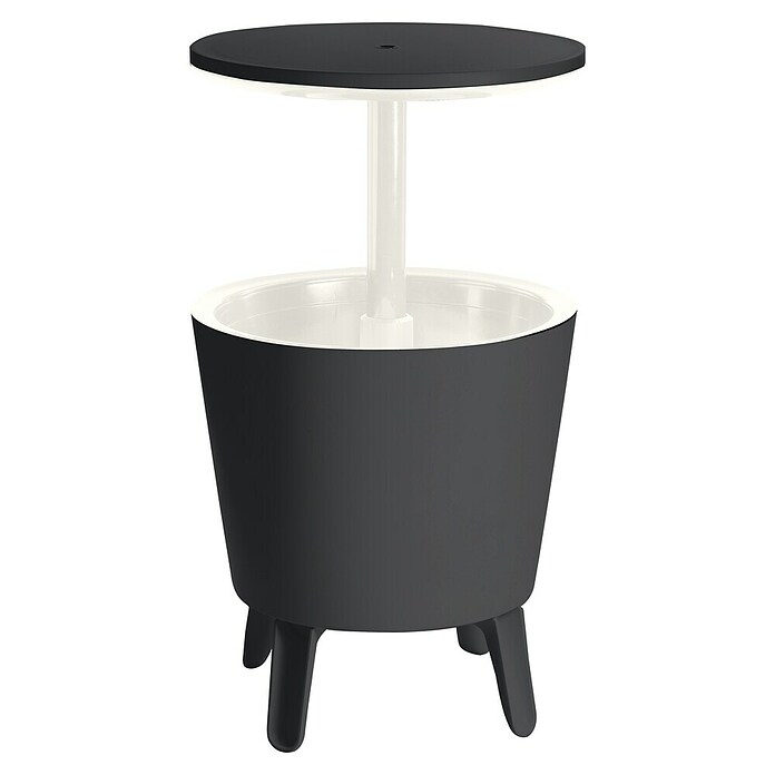 Keter Nevera Cool Bar (L x An x Al: 49,5 x 49,5 x 84,5 cm, Grafito/Blanco) | BAUHAUS