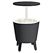 Keter Nevera Cool Bar (L x An x Al: 49,5 x 49,5 x 84,5 cm, Grafito/Blanco) | BAUHAUS