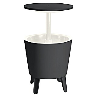 Keter Nevera Cool Bar (L x An x Al: 49,5 x 49,5 x 84,5 cm, Grafito/Blanco)