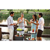 Keter Nevera Cool Bar (L x An x Al: 49,5 x 49,5 x 84,5 cm, Grafito/Blanco) | BAUHAUS