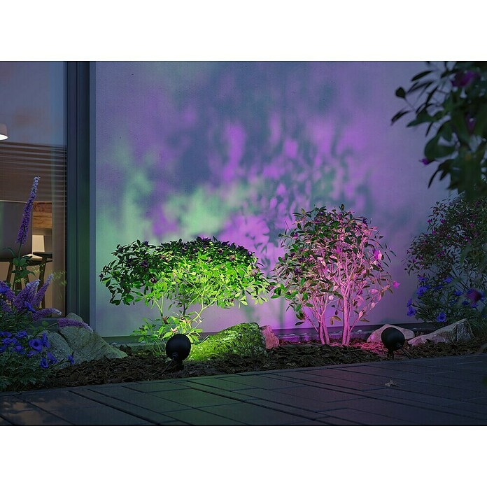 Paulmann Plug & Shine Foco LED de jardín Kikolo (6,2 W, IP65, RGBW) | BAUHAUS