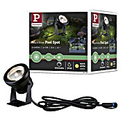 Paulmann Plug & Shine LED spot svjetiljka Pool  (6 W, Crna, 7,2 x 11 cm) | BAUHAUS