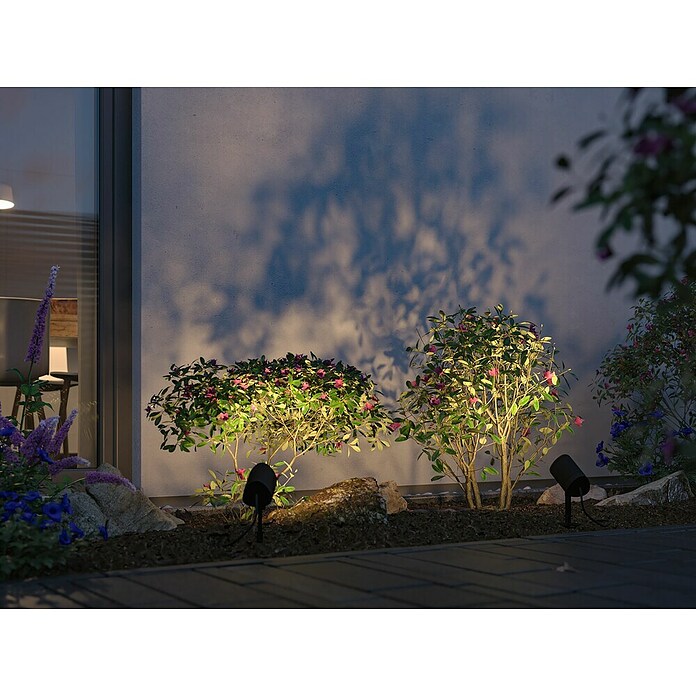 Paulmann Plug & Shine Vrtna LED spot svjetiljka  (6,5 W, IP65, RGBW, Antracit) | BAUHAUS