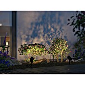 Paulmann Plug & Shine Vrtna LED spot svjetiljka  (6,5 W, IP65, RGBW, Antracit) | BAUHAUS
