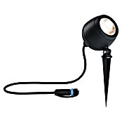 Paulmann Plug & Shine Vrtna LED spot svjetiljka Kikolo  (7,2 W, IP65, Topla bijela, Antracit, Kut svjetlosnog snopa: 60 °) | BAUHAUS
