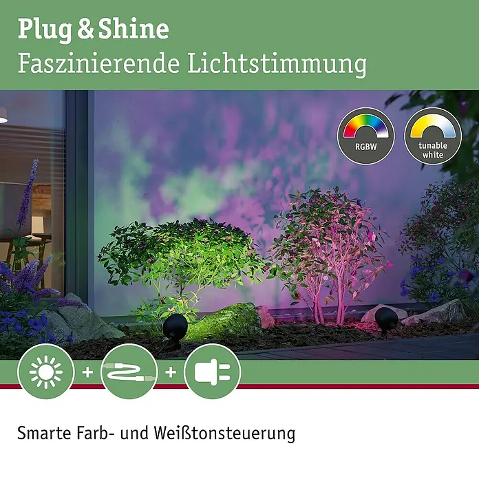 Paulmann Plug & Shine LED-Gartenspot Kikolo - 6,2 W, IP65, RGBW, Anthrazit - Zwei schwarze Außenstrahler beleuchten Gartenpflanzen mit leuchtend grünem und magenta RGBW-Licht, demonstrieren smarte Farb- und Weißtonsteuerung.