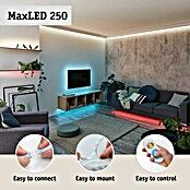 Paulmann MaxLED 250 Set LED traka Comfort TV 55''  (360 cm, RGBW, 23,5 W, 1.000 lm, 230 V - 240 V) | BAUHAUS