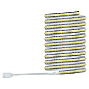 Paulmann MaxLED 1.000 Osnovni set Full-Line COB  (300 cm, 31 W, Raznobojno, 3.600 lm) | BAUHAUS