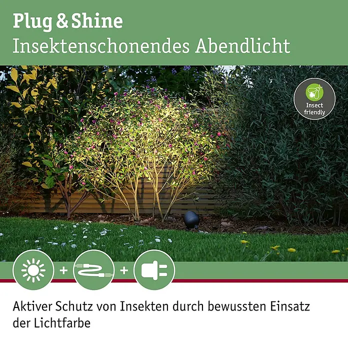Paulmann Plug & Shine LED-Gartenspot Kikolo - 6,2 W, IP65, Warmweiß, Anthrazit - Ein Gartenstrahler beleuchtet einen Busch mit insektenfreundlichem Abendlicht, Teil des Plug & Shine Systems.