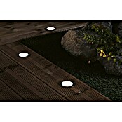 Paulmann Plug & Shine Ugradbena podna svjetiljka Floor  (2 W, Ø x V: 7 x 3 cm) | BAUHAUS