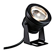 Paulmann Plug & Shine LED spot svjetiljka Pool  (6 W, Crna, 7,2 x 11 cm) | BAUHAUS