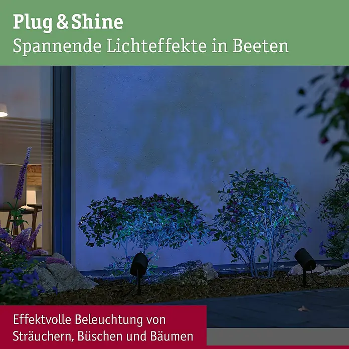 Paulmann Plug & Shine LED-Gartenspot - 6,5 W, IP65, RGBW, Anthrazit - Außenstrahler beleuchten Gartenbüsche mit blauem Licht bei Nacht. Teil eines Gartenbeleuchtungssystems.