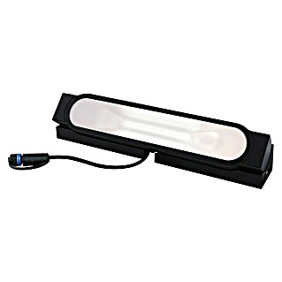 Paulmann Plug & Shine Foco de pared LED Ito (L x An x Al: 4,9 x 25,2 x 22,4 cm, Blanco cálido)