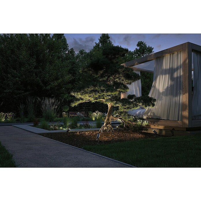 Paulmann Plug & Shine Vrtna LED spot svjetiljka Radix  (7 W, IP65, Topla bijela, Siva) | BAUHAUS