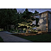 Paulmann Plug & Shine Vrtna LED spot svjetiljka Radix  (7 W, IP65, Topla bijela, Siva) | BAUHAUS