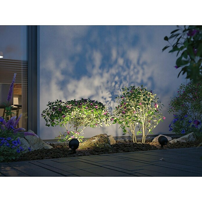 Paulmann Plug & Shine Vrtna LED spot svjetiljka Kikolo  (7,2 W, IP65, Topla bijela, Antracit, Kut svjetlosnog snopa: 60 °) | BAUHAUS